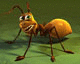 Antswar