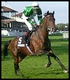 Virtual Galopp Second Edition
