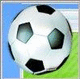 Meistercoach