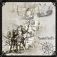Amerigo 1499