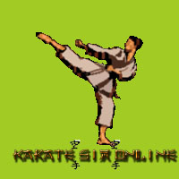 Karate Sim Online