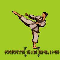 Karate Sim Online