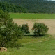 Harvest Season