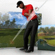 Tiger Woods PGA Tour Online