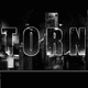 Torn City