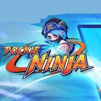 Pockie Ninja Game