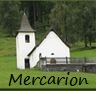 Mercarion-Online