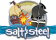 Salt & Steel