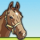 Horse Nation