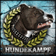 Hundekampf