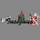 Insignus