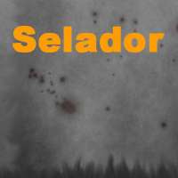 Selador