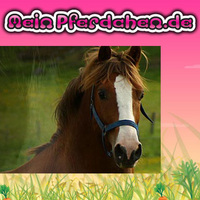 MeinPferdchen