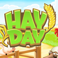 HayDay