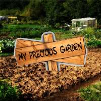 My Precious Garden