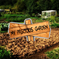 My Precious Garden