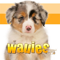 Wauies