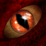 Soul of the black Dragon