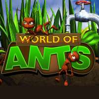 World of Ants
