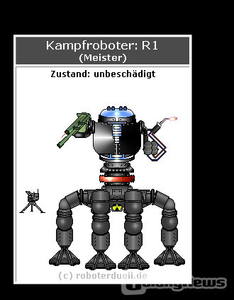 Screenshot Roboterduell.de