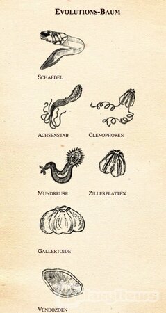 Screenshot Evolution-Master