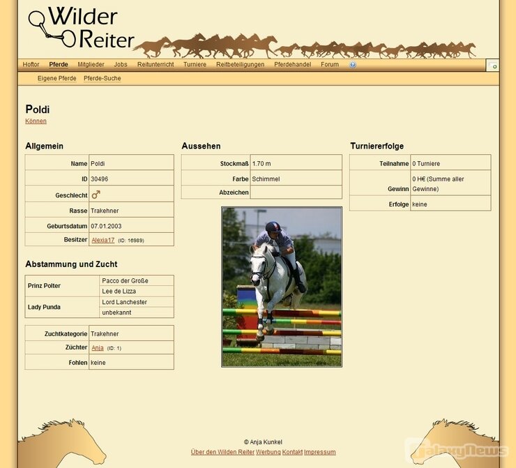 Screenshot Wilder Reiter