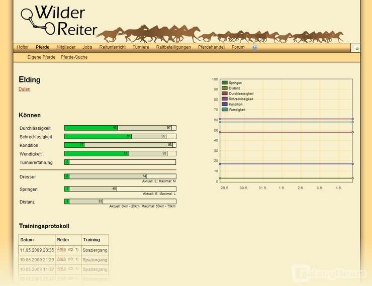 Screenshot Wilder Reiter