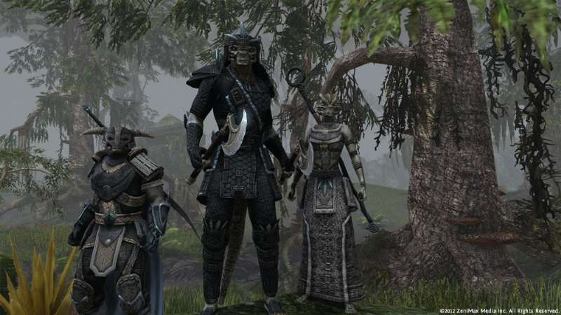 Screenshot The Elder Scrolls Online