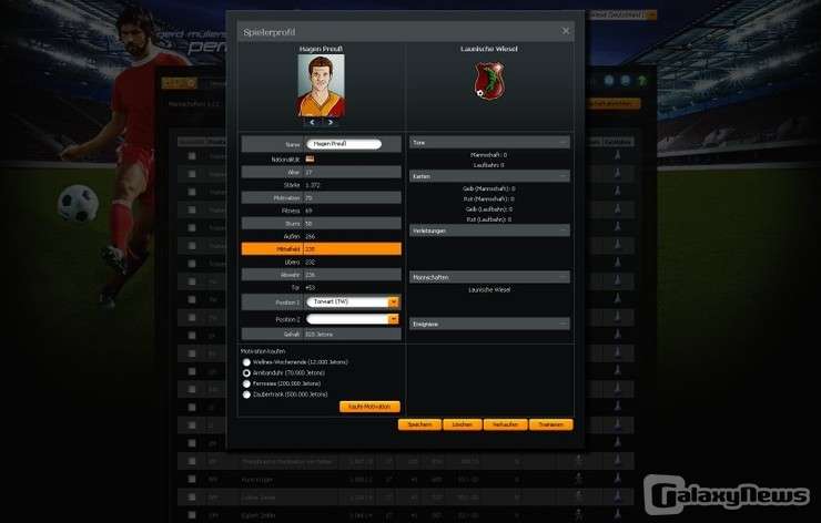 Screenshot Perfect Goal