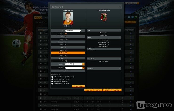 Screenshot Perfect Goal