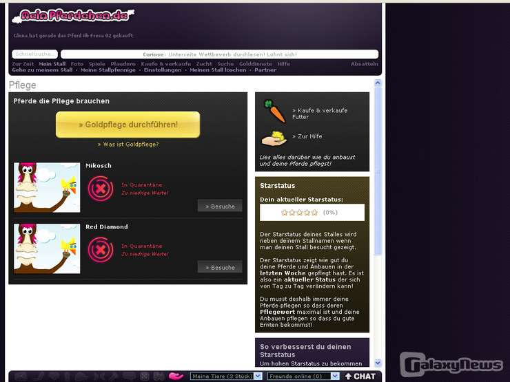 Screenshot MeinPferdchen