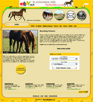 Screenshot MyStable Online Horse Game