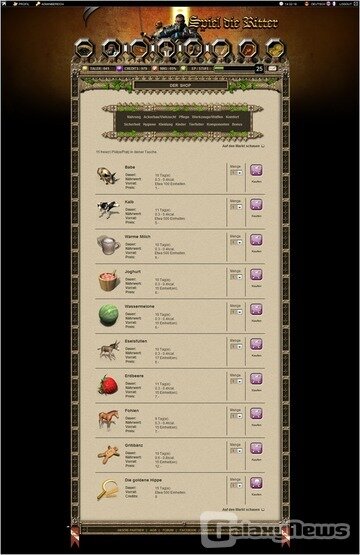 Screenshot Spiel die Ritter