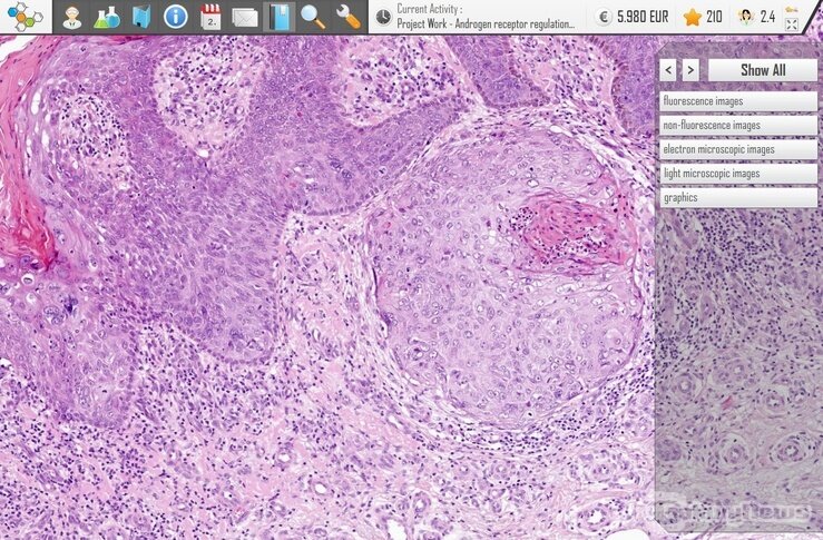 Screenshot Power of Research