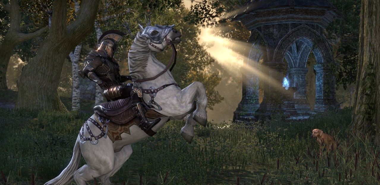 The Elder Scrolls Online angespielt - Hier ist der Name Programm