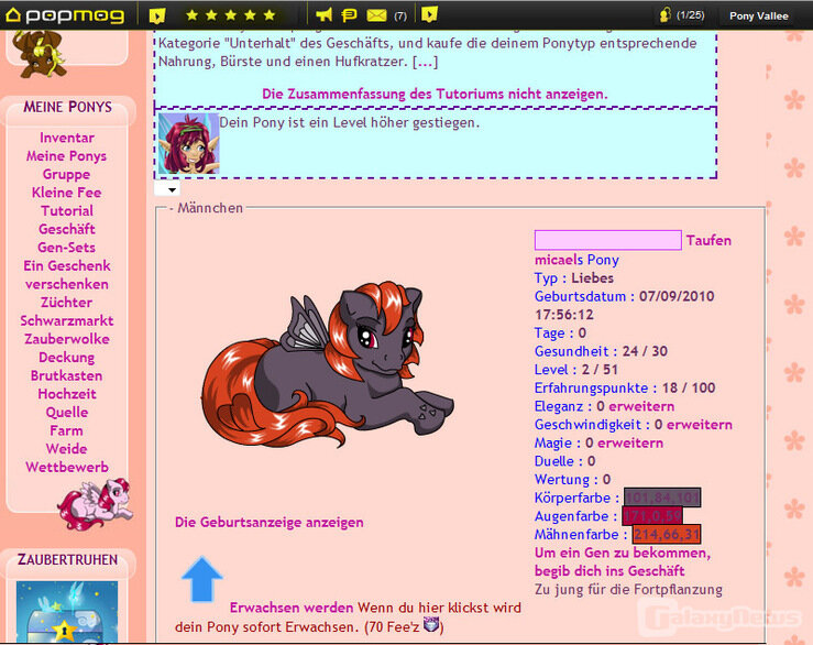 Screenshot PoneyVallee