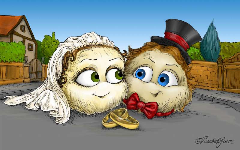 Screenshot Puschelfarm