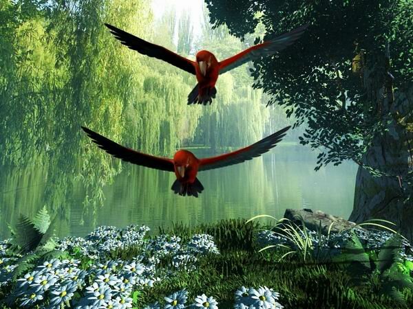 Screenshot Fellnasen Universum