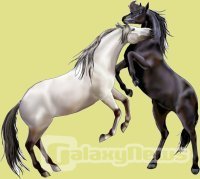 Mein Lieblingsspiel: Howrse