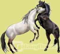 Mein Lieblingsspiel: Howrse