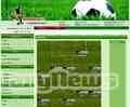 Footballcup online