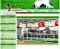 Footballcup online