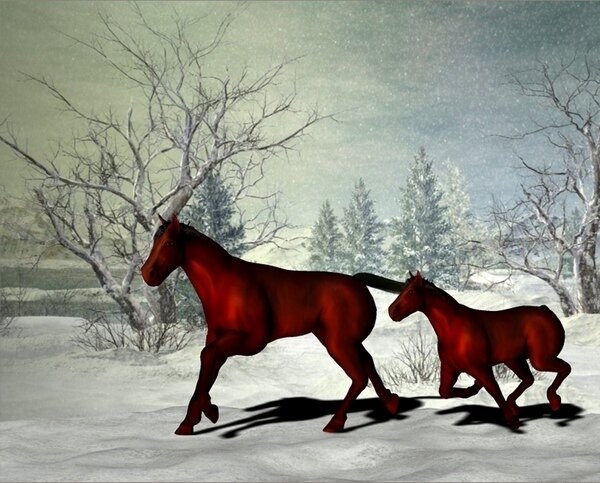 Screenshot Fellnasen Universum