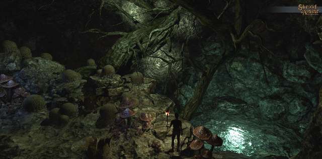 Endlich: Single-Player-Fragen von Shroud of the Avatar wurden beantwortet