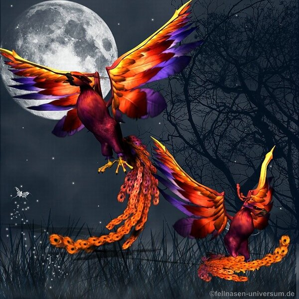 Screenshot Fellnasen Universum