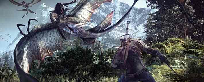 Spielweltenvergleich: The Witcher 3 vs. MMORPGs
