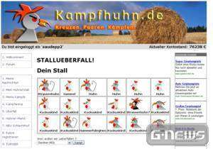 Screenshot Kampfhuhn Arena
