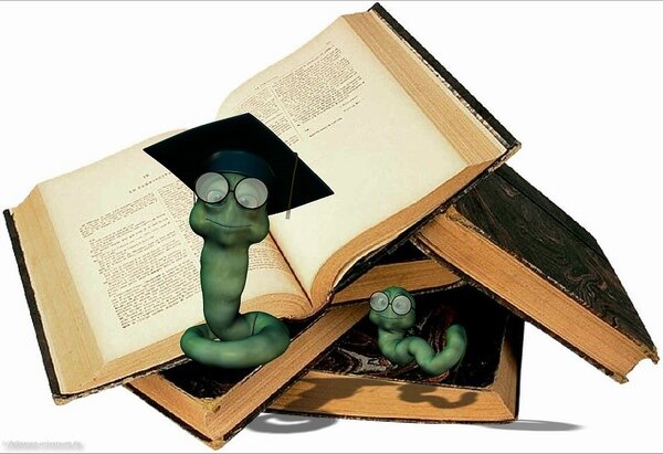 Screenshot Fellnasen Universum